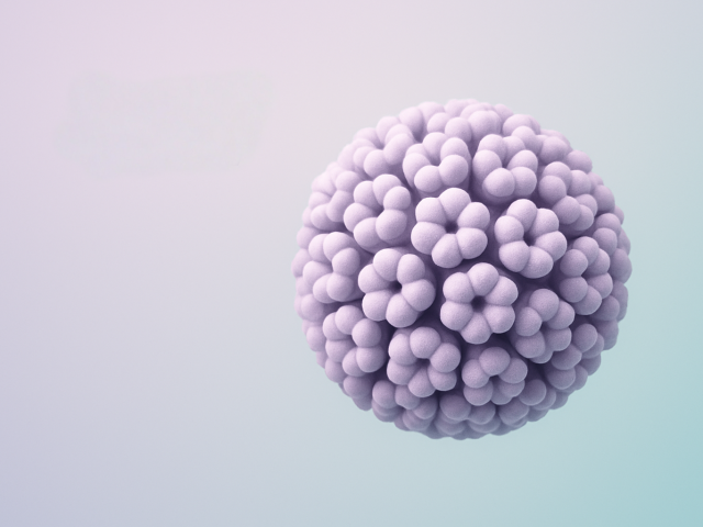 2af145fa 16f9 4d8b a083 d2a4cf910ccc